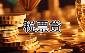 凉山税票贷